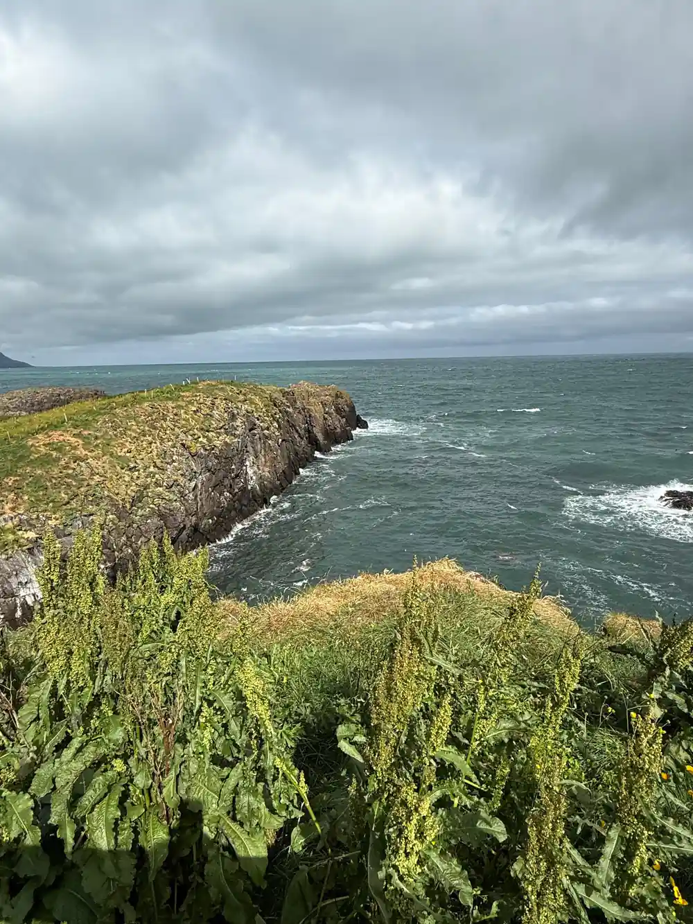 Dramatic cliff edge overlooking rough sea with green vegetation