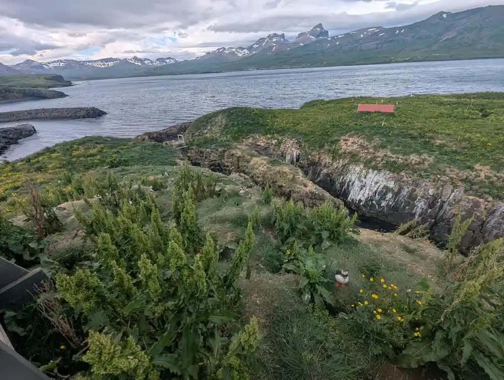 Lake surrounded by mountains, green valley with conifer forest
