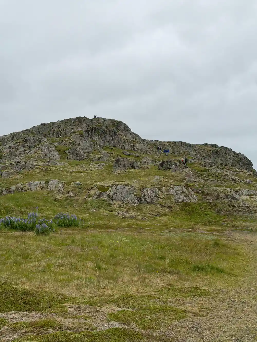 Rocky mountain peak covered in moss and vegetation