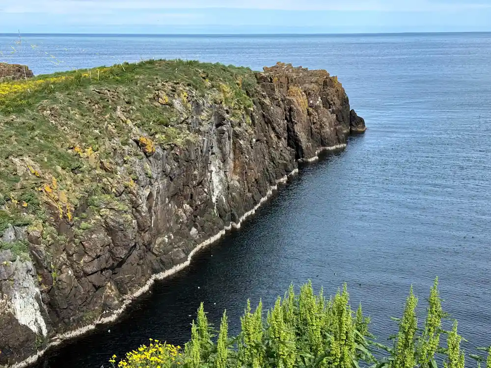 Steep coastal cliffs dropping to ocean water