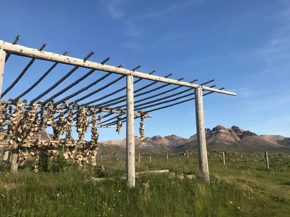 Wooden structure with dried fish hanging to dry